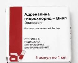 Адреналина гидрохлорид-Виал, раствор для инъекций 1 мг/мл 1 мл 5 шт ампулы